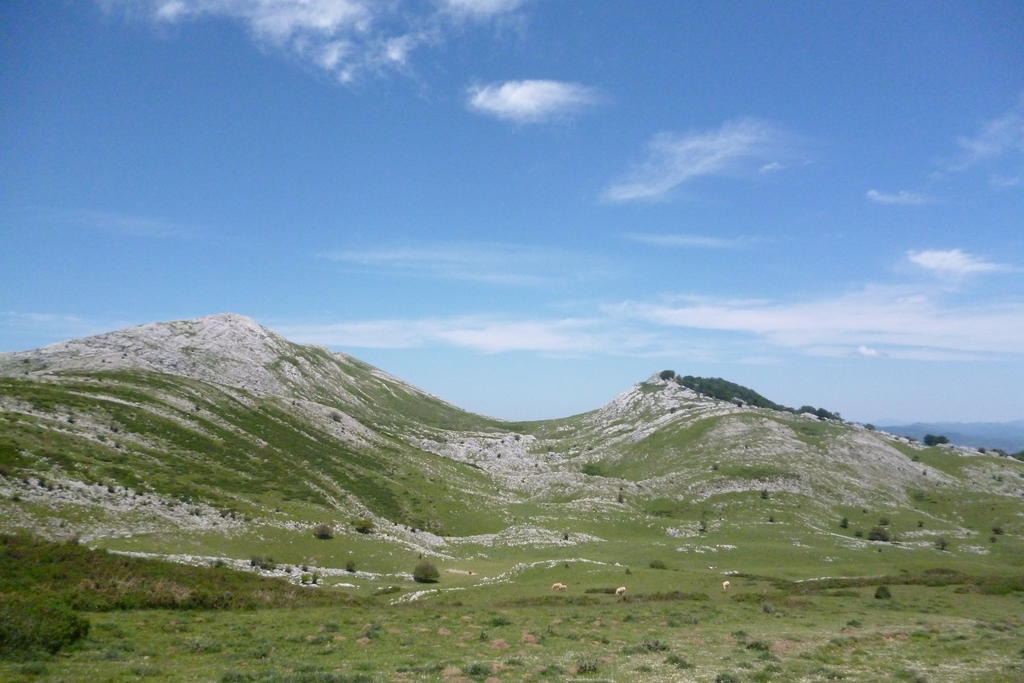 Hostal Betelu Екстериор снимка